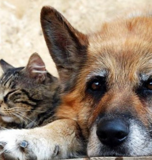 Фото із відкритих джерел