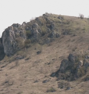 Фото: скріншот з відео