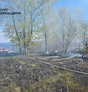 Пожежа посеред Дніпра: у Черкасах рятувальники гасили острів за 2 км від берега