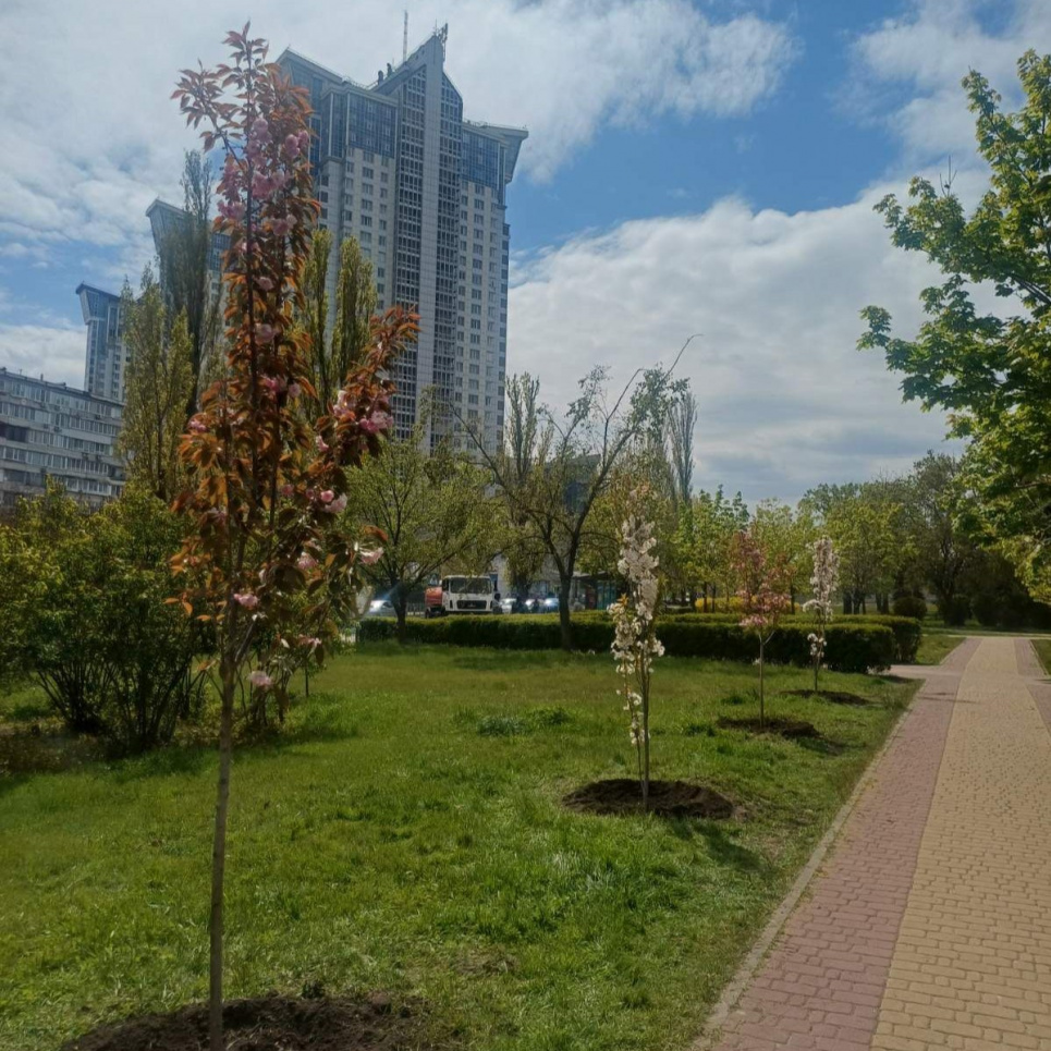Фото: КМДА