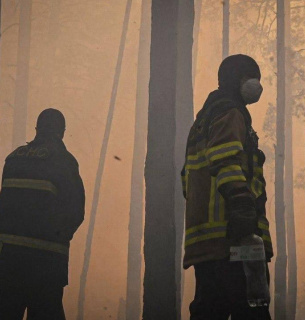 Пожежа в Чорнобильській зоні