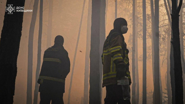 Пожежа в Чорнобильській зоні