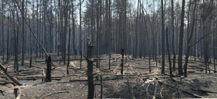Фото: Чорнобильський Радіаційно-екологічний Біосферний Заповідник / Facebook