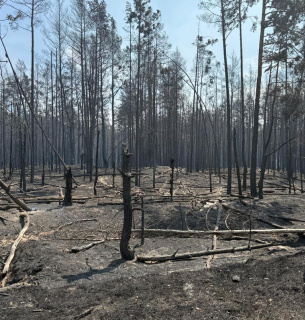 Фото: Чорнобильський Радіаційно-екологічний Біосферний Заповідник / Facebook