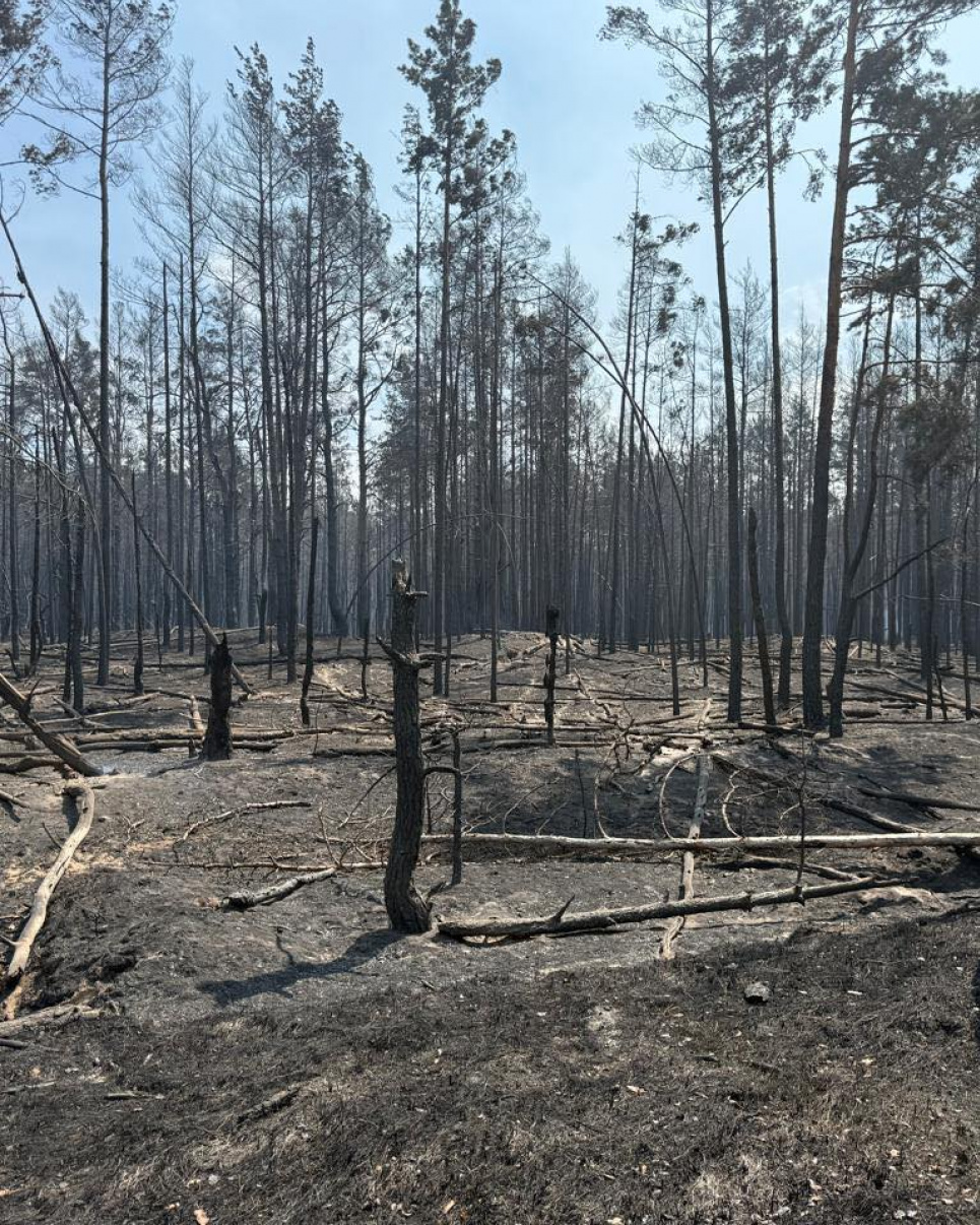 Фото: Чорнобильський Радіаційно-екологічний Біосферний Заповідник / Facebook