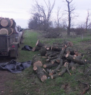 Фото: Поліція Миколаївської області