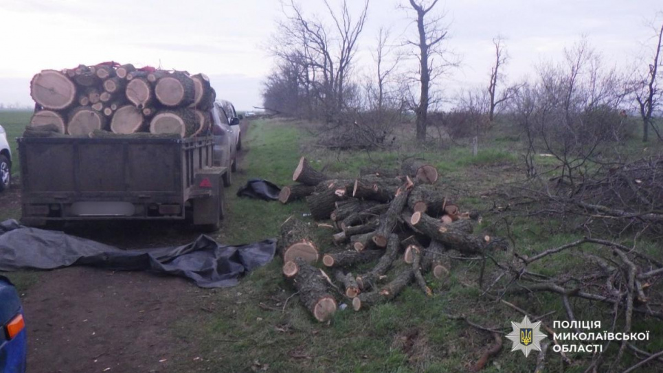 Фото: Поліція Миколаївської області