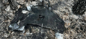 На севере Житомирской области лесоводы оперативно потушили пожар, вызванный «Шахедом»