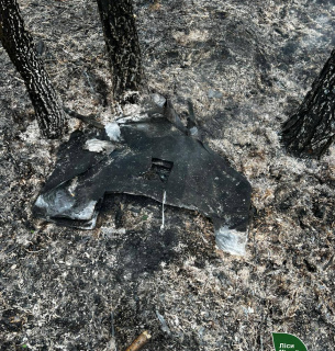 Ворожий дрон спричинив лісову пожежу на Житомирщині: лісівники зупинили вогонь на 0,01 га