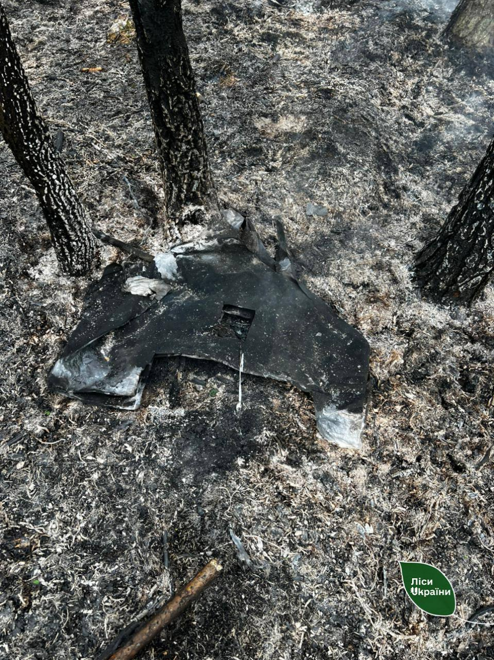 Ворожий дрон спричинив лісову пожежу на Житомирщині: лісівники зупинили вогонь на 0,01 га