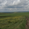 Фото: скріншот з відео ДЕІ Південно-Західного округу