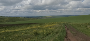 Фото: скріншот з відео ДЕІ Південно-Західного округу