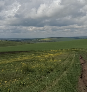 Фото: скріншот з відео ДЕІ Південно-Західного округу