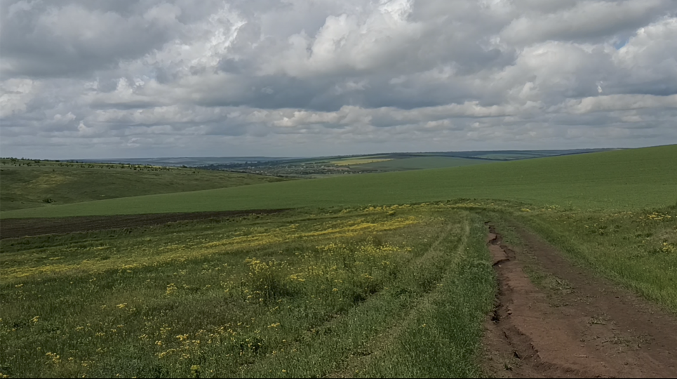 Фото: скріншот з відео ДЕІ Південно-Західного округу