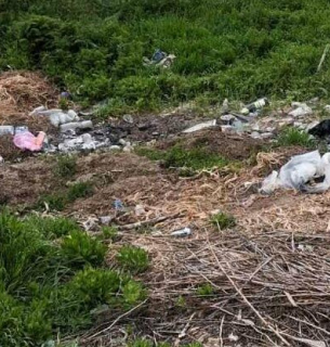Засмічення Дністровського лиману