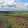 На Миколаївщині незаконно розорали 6 га заповідних земель: збитки понад 234 тис. грн