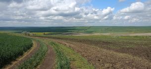 На Миколаївщині незаконно розорали 6 га заповідних земель: збитки понад 234 тис. грн