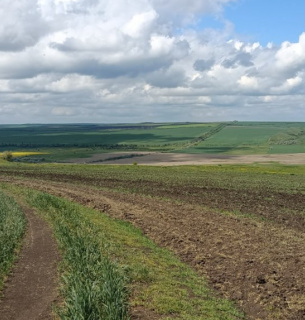 На Миколаївщині незаконно розорали 6 га заповідних земель: збитки понад 234 тис. грн
