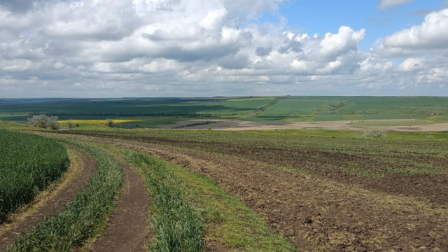 На Миколаївщині незаконно розорали 6 га заповідних земель: збитки понад 234 тис. грн