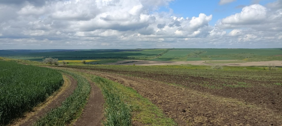 На Миколаївщині незаконно розорали 6 га заповідних земель: збитки понад 234 тис. грн