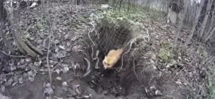 Скриншот из видео: Прокуратура Украины