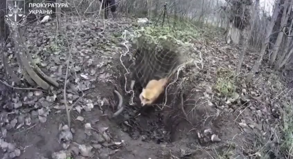 Скріншот з відео: Прокуратура України