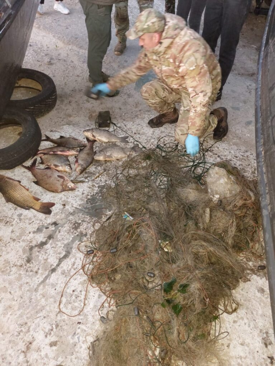 Борьба с браконьерством.
