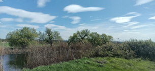 Порушення водоохоронного режиму річки Кодима