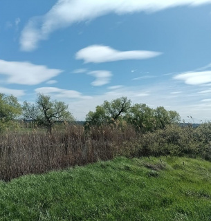 Порушення водоохоронного режиму річки Кодима