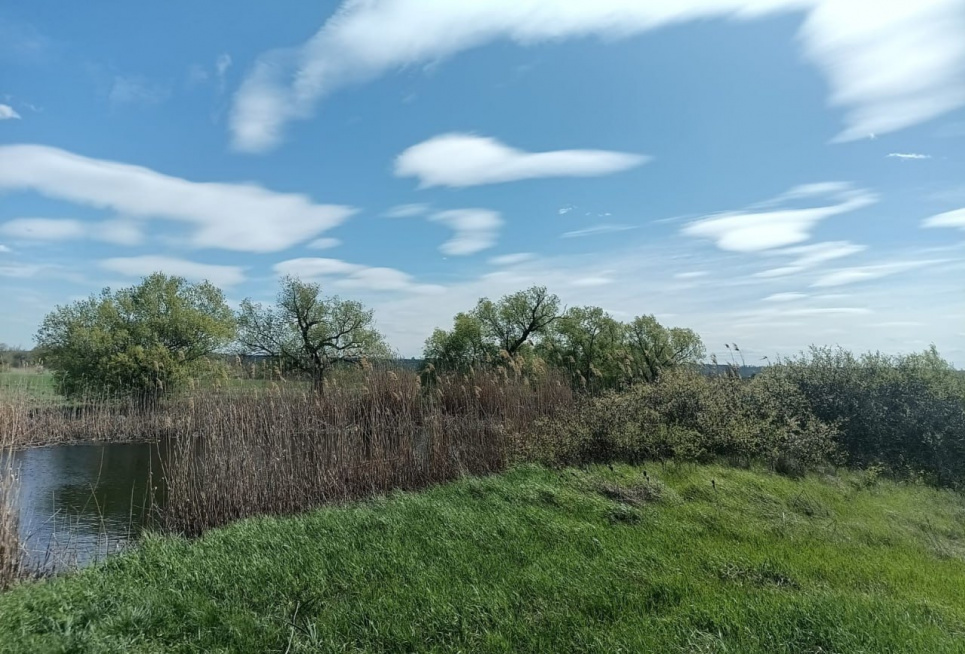 Порушення водоохоронного режиму річки Кодима