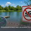 На Тернопільщині заборонили купатися у популярному ставку