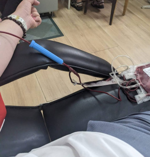 В Україні стартувала акція #ЯСерпневийДонор: чому важливо здавати кров наприкінці літа