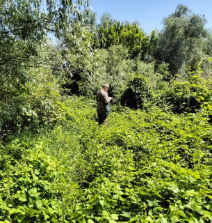Розширення Нижньодністровського нацпарку.