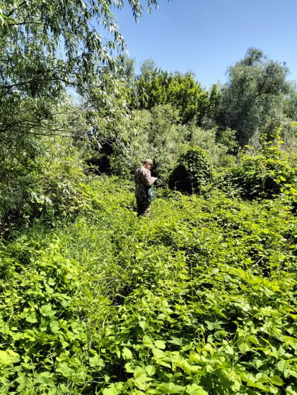 Розширення Нижньодністровського нацпарку.