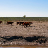 Фото: Shutterstock