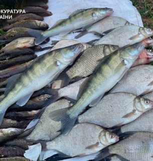 Понад 3 роки тюрми за 33 рибини: на Черкащині засудили браконьєра-рецидивіста