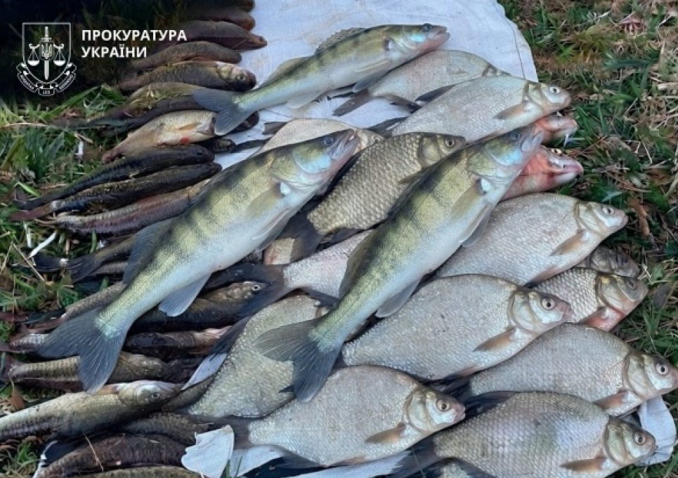 Понад 3 роки тюрми за 33 рибини: на Черкащині засудили браконьєра-рецидивіста