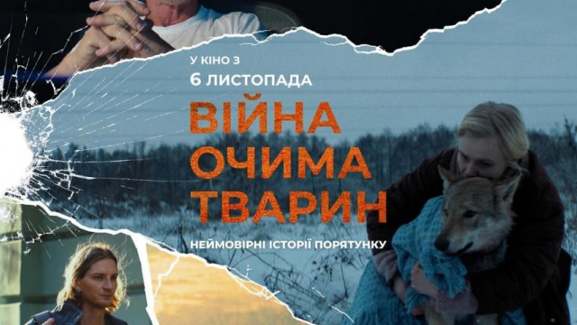 Екологічне кіно України: фільми про природу, війну та Каховську катастрофу