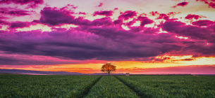 Фото: fikiwiki.com