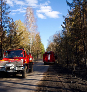 Фото Дениса Вишневського