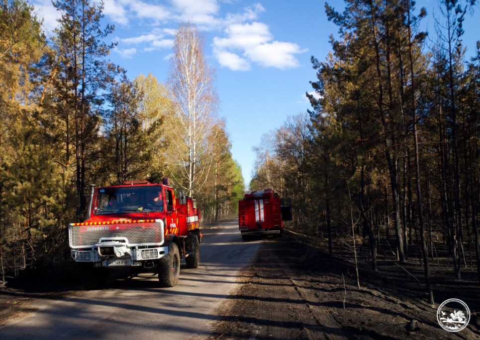 Фото Дениса Вишневського