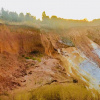 Фото: Олександр Шепітько