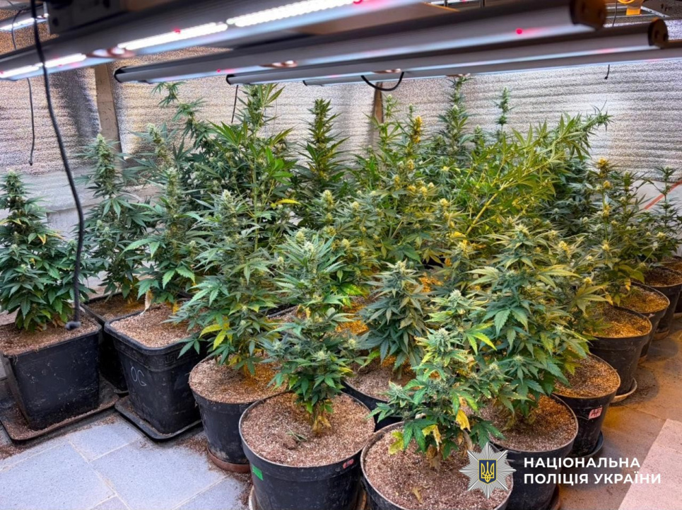 У Києві та ще 23 регіонах ліквідували масштабну мережу наркоторгівлі 
