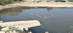 Инспекция проверила информацию о сбросе воды возле СТ «Терновские дачи»