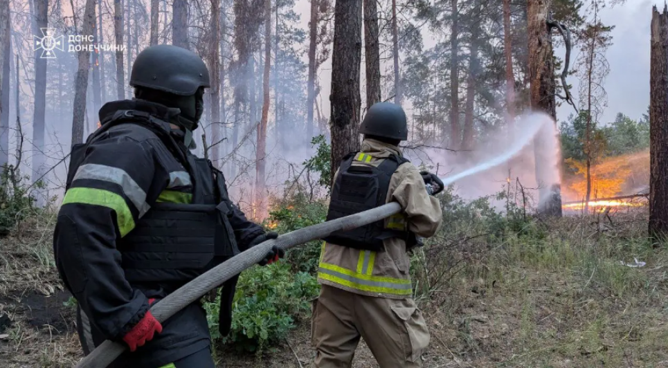 Через війну знищено майже третину лісів нацпарку «Святі Гори» на Донеччині