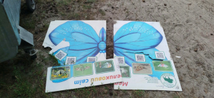 В НПП «Цуманская пуща» зафиксировали акт вандализма на экотропе