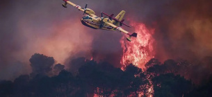 Самолет тушит лесной пожар во Франции. Фото: Thibaud MORITZ : AFP via Getty Images