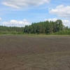 В Хмельницкой области полностью пересохло уникальное озеро Святое