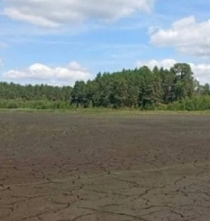 В Хмельницкой области полностью пересохло уникальное озеро Святое