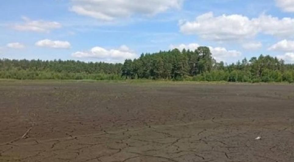 На Хмельниччині повністю пересохло унікальне озеро Святе